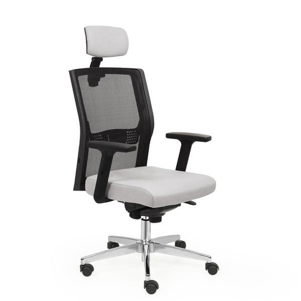 Dinamik Yönetici Koltukları